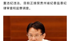 贵州茅台董事长回应拆股建议：将审慎决策