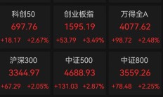 A股震荡反弹，11只基金涨超4%