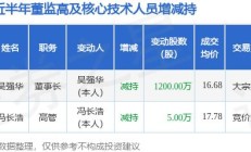 华大九天遭股东上海建元减持271.47万股
