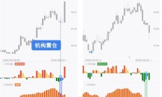 月内超130家上市公司获外资机构调研 “出海”情况受关注