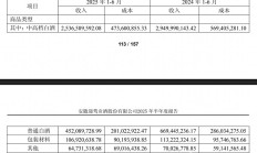 南新制药募投项目频生变故 连亏四年业绩承压‌