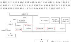 以吸收合并开创资源整合新局面 新规后首单“A吞A”案例出现