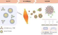 艾美疫苗迭代无血清狂苗三期临床数据达预设目标 重磅创新大单品有望填补全球空白