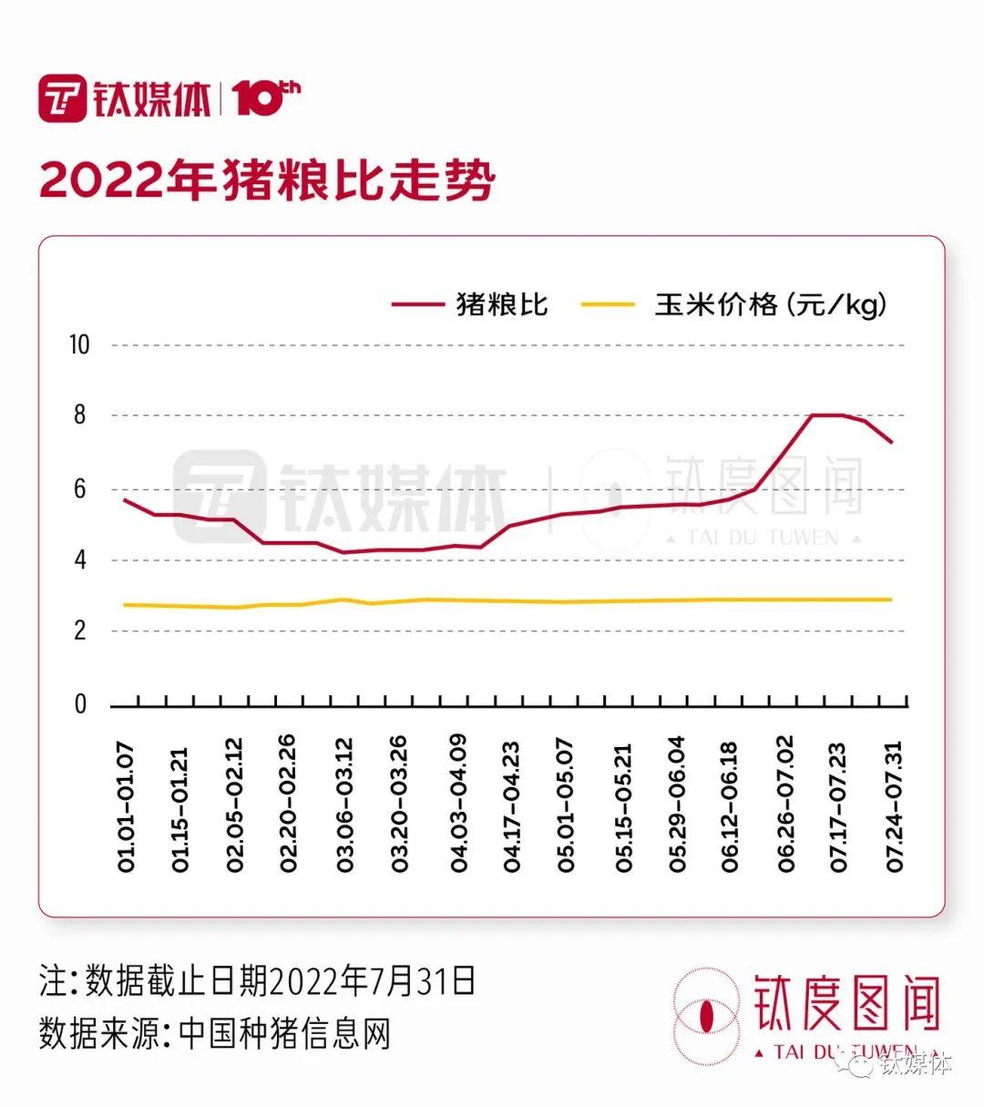 猪价走势向好 推动猪企盈利进一步改善