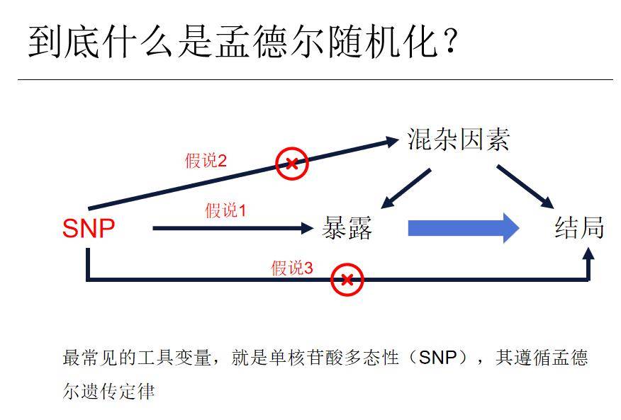 司法部：有关部门正在抓紧研究起草金融法草案