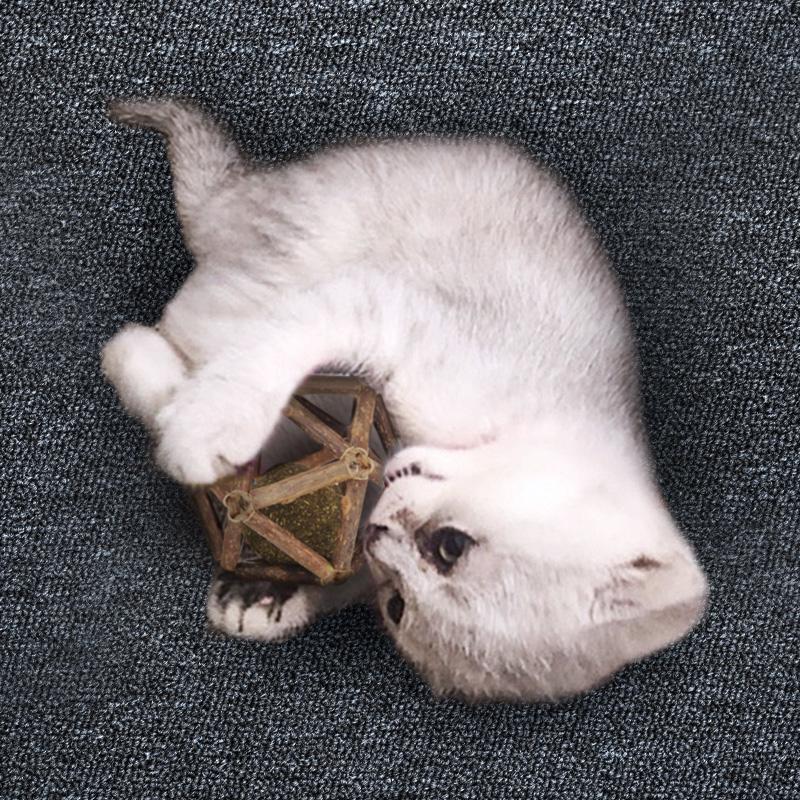 猫晚回归、全网动态比价、微信朋友圈直跳...这届双11天猫打算怎么打？