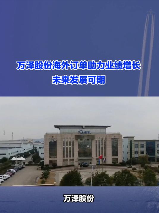 上市公司开年频获海外大单：技术出海成色足 本地化策略获认可