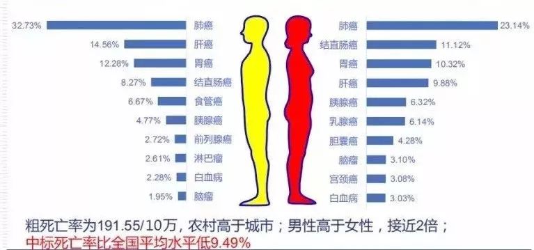 盛弘股份2024年营收同比增长14.56%,ROE有所下滑