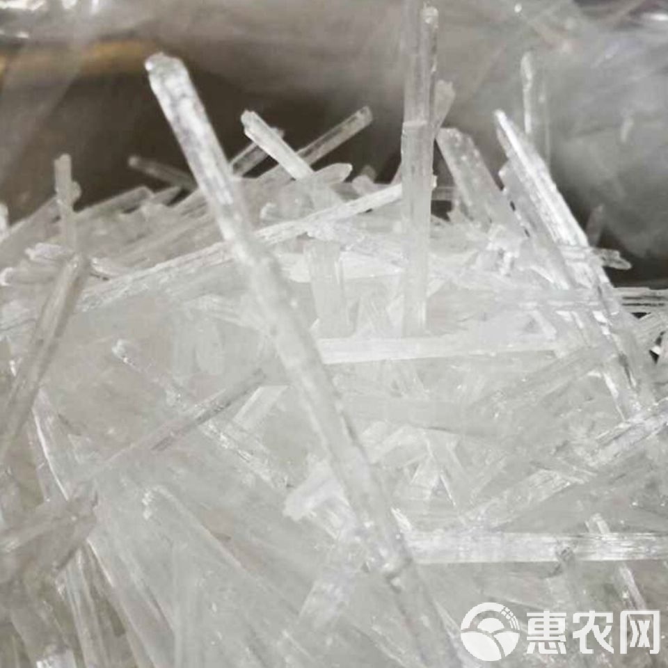 脑再生 中药作坊变“脑机神话”