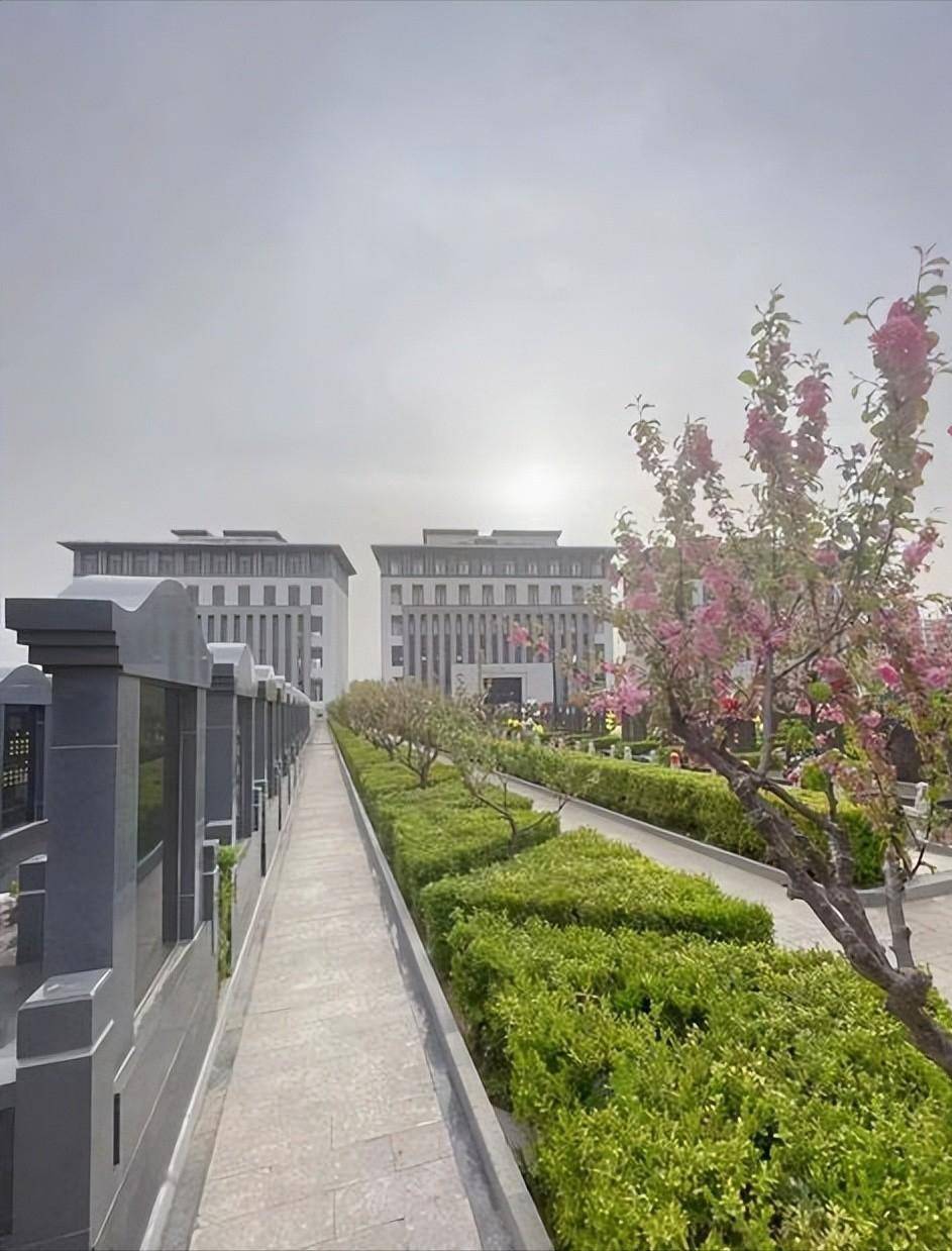 福寿园上市后首现亏损：今年上半年预亏超2.35亿元