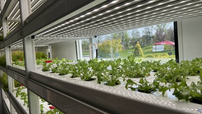 实探营业部两融咨询开户——“我今天键盘都快敲出火星子了”