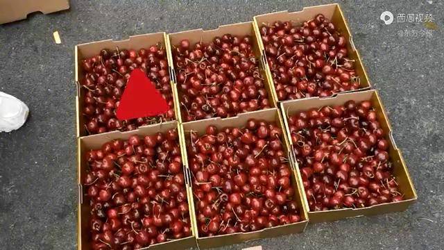 进口车厘子价格“大跳水”真相调查：近年都是前高后低 下个月会更便宜